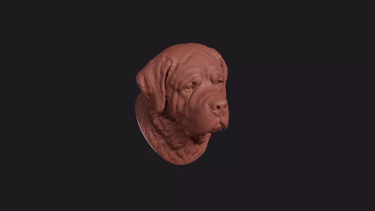 Saint Bernard Head 3D print model