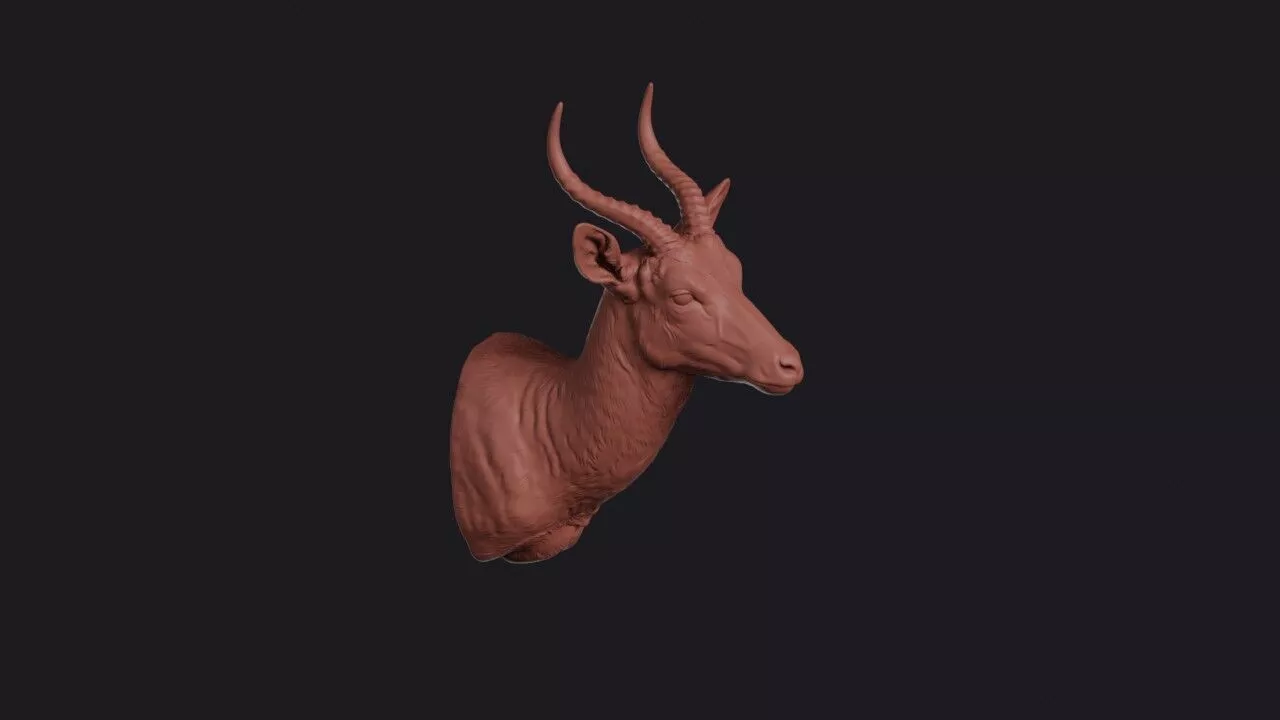 Reedbuck Head 3D print model