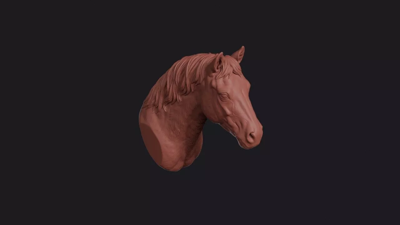 Pony Head 3D print model