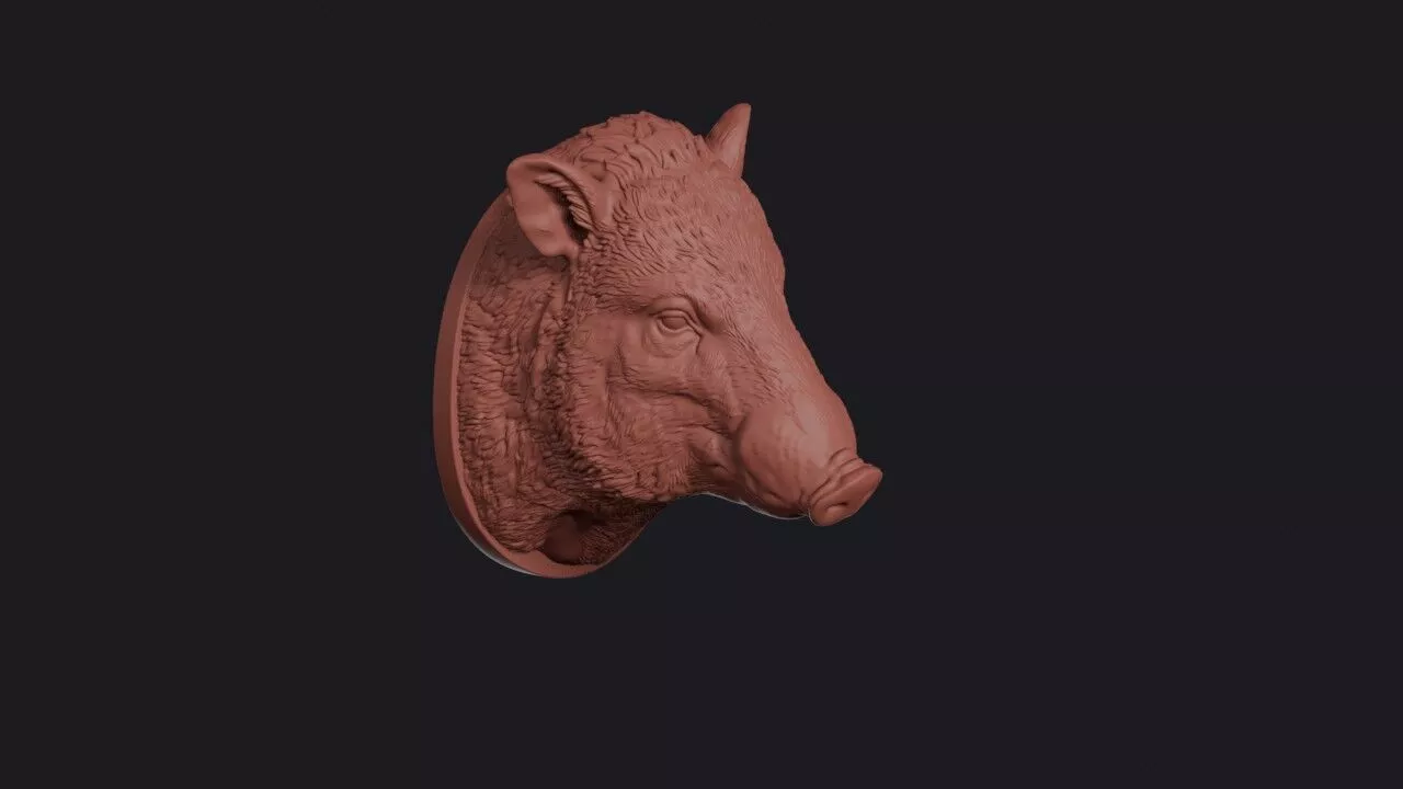 Peccary Head 3D print model
