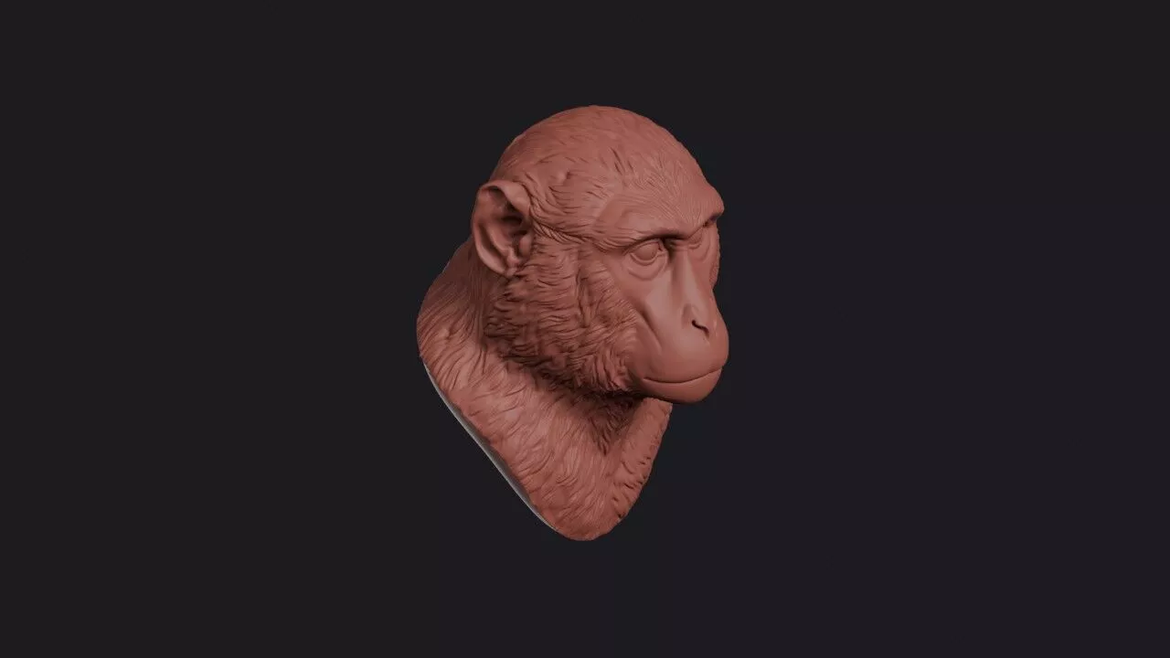 Patas Monkey Head 3D print model