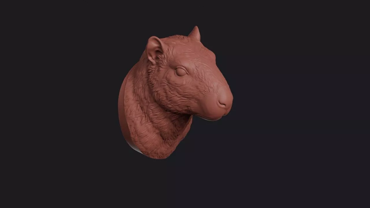 Paca Head 3D print model