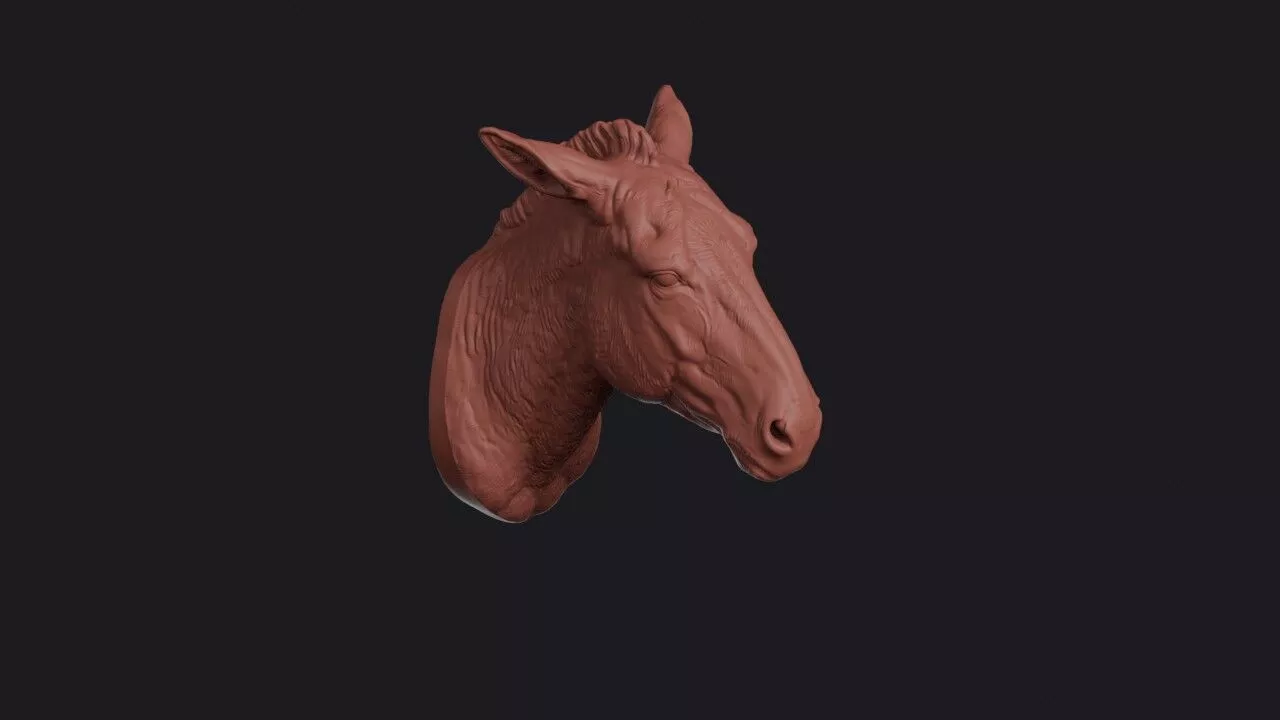 Onager Head 3D print model