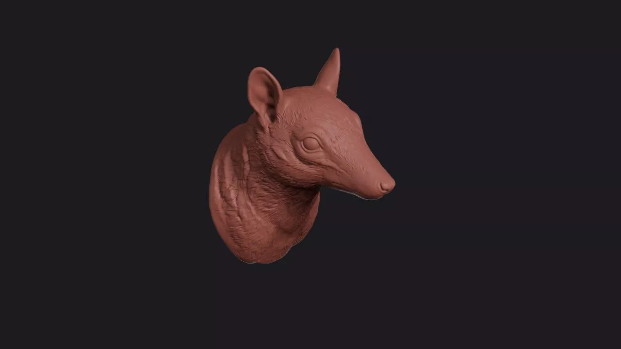 Numbat Head 3D print model