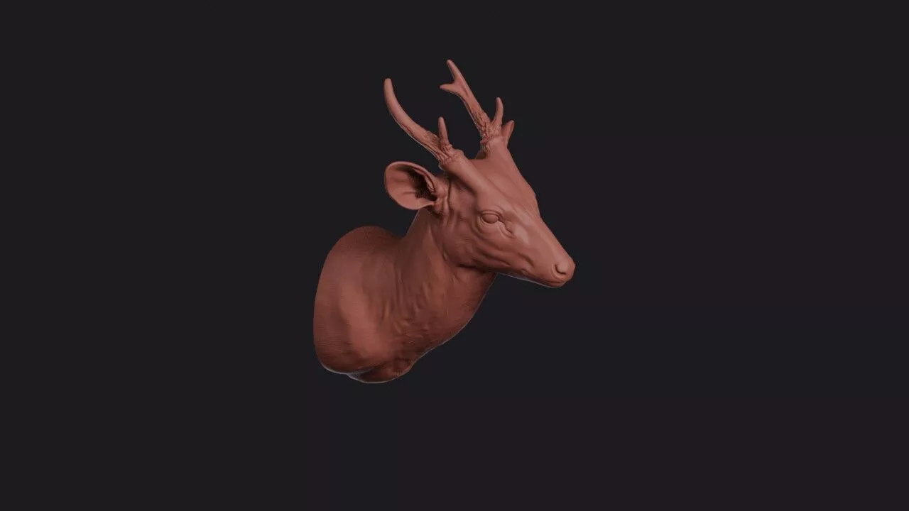 Muntjac Head 3D print model