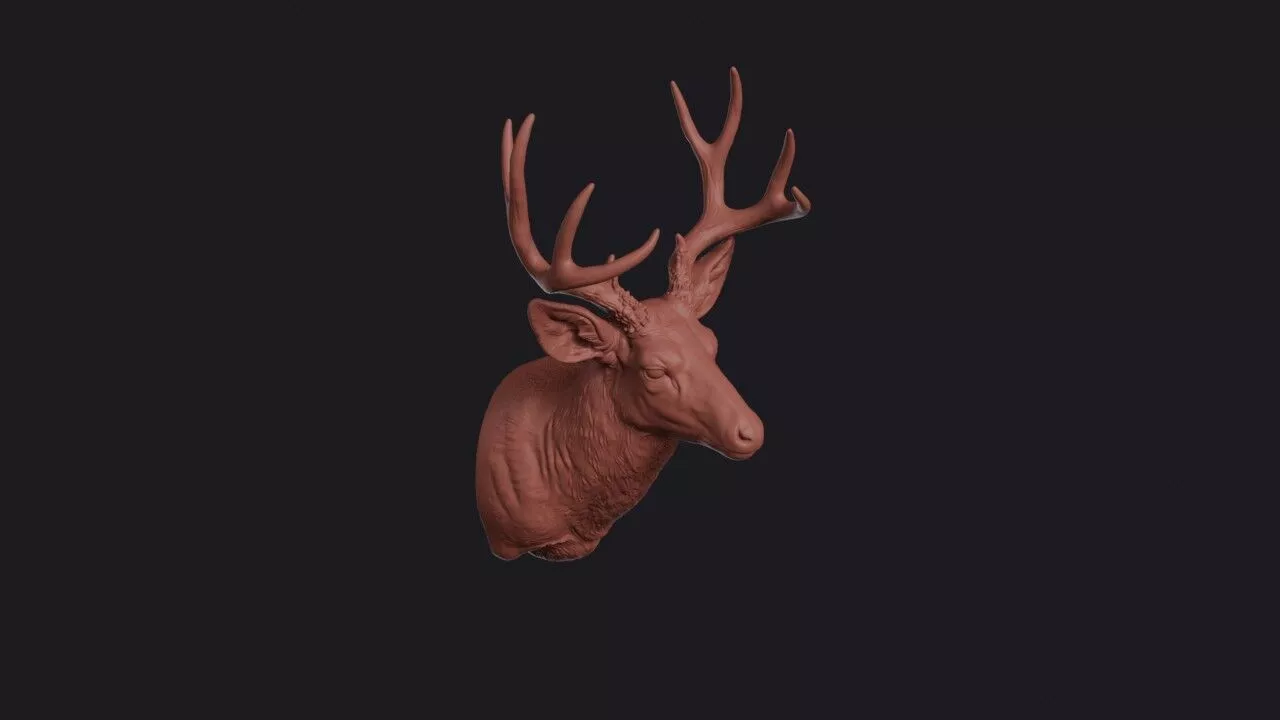 Mule Deer Head 3D print model