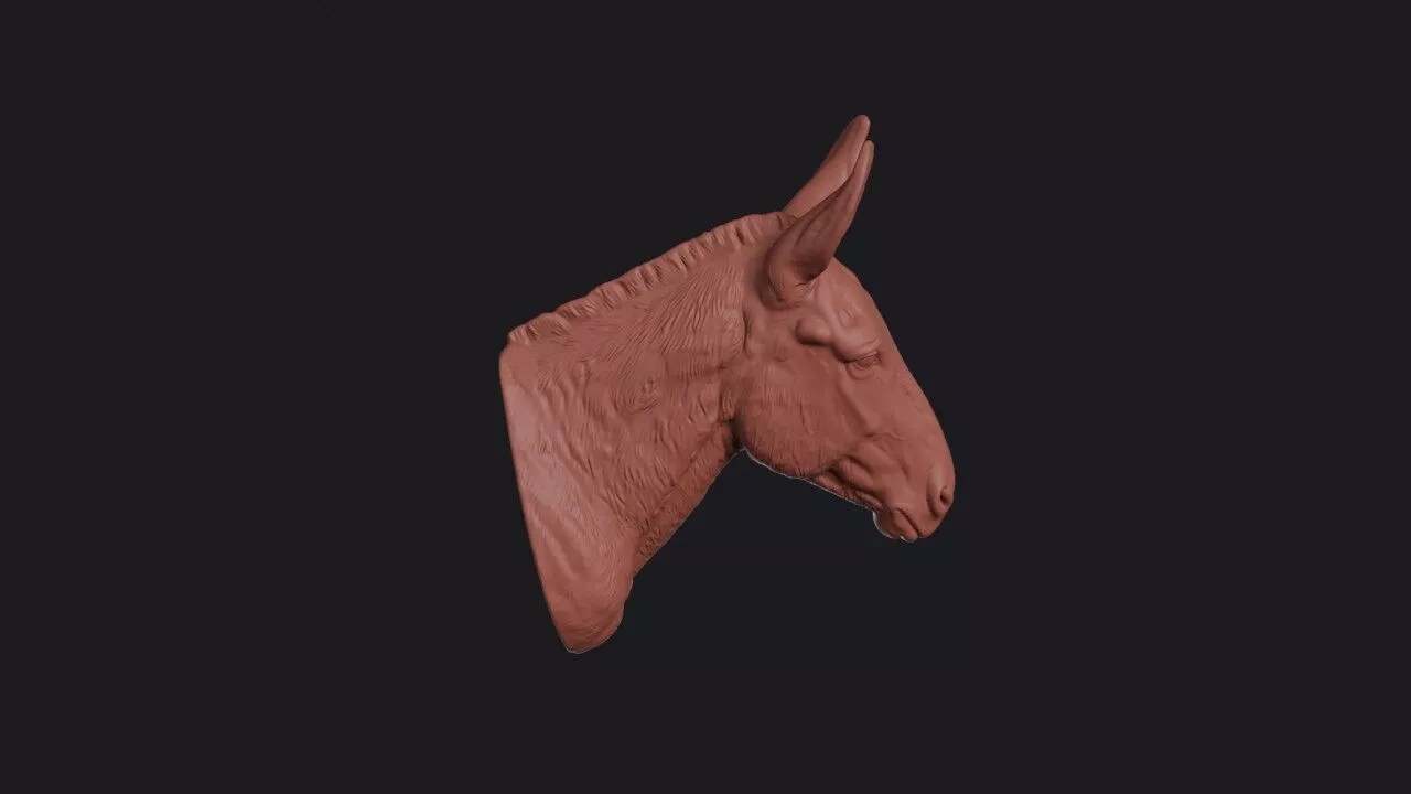 Mule Head 3D print model