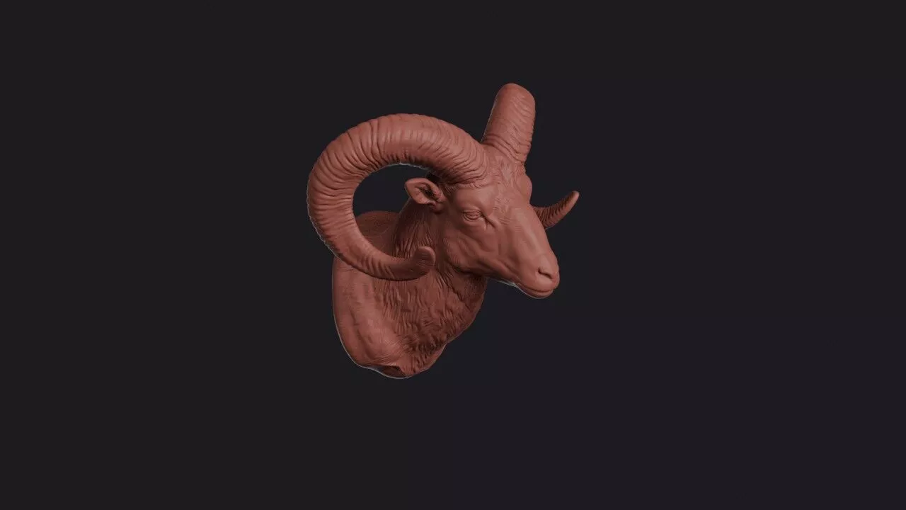 Mouflon Head 3D print model