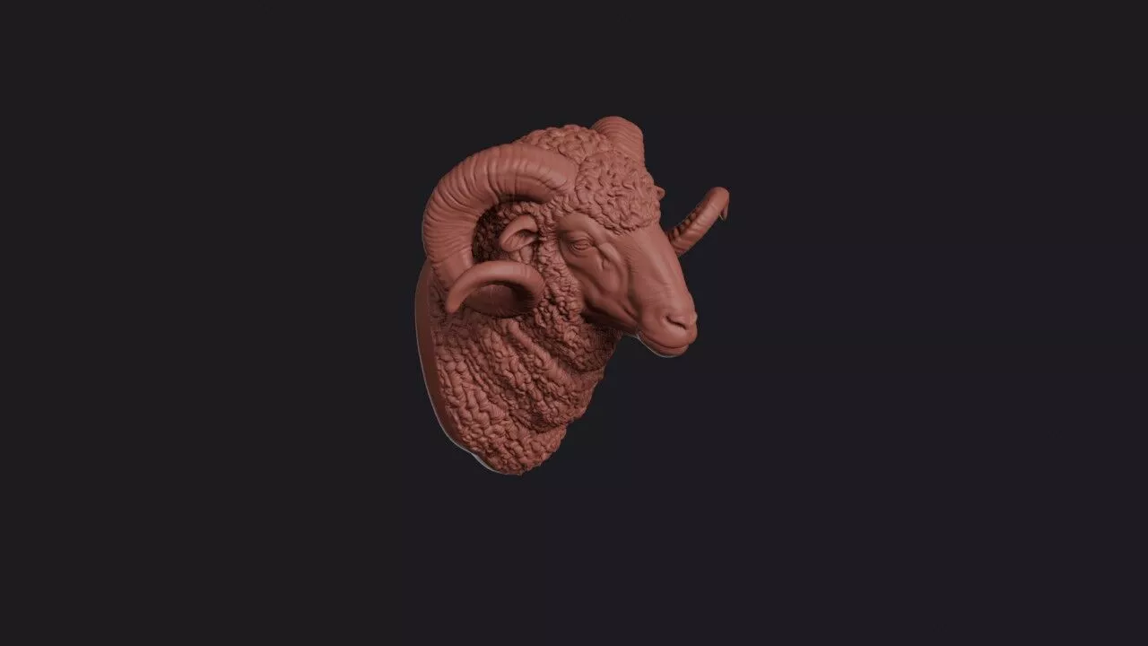 Merino Ram Head 3D print model