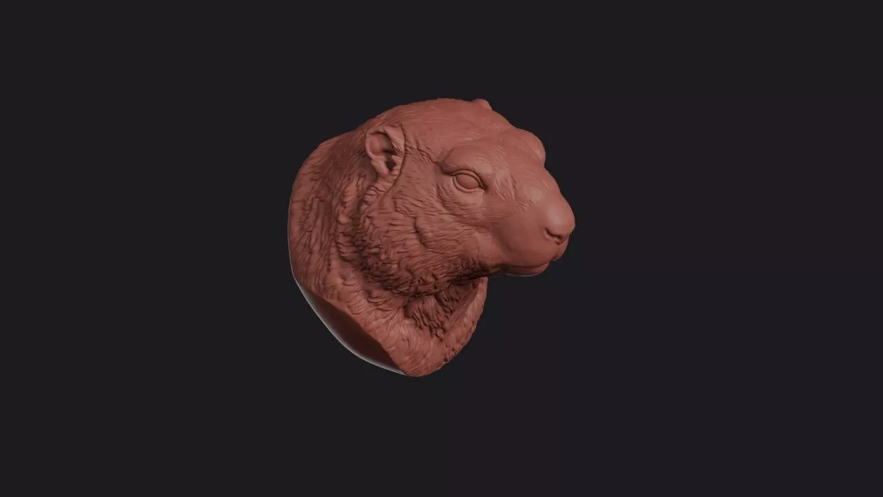 Marmot Head 3D print model