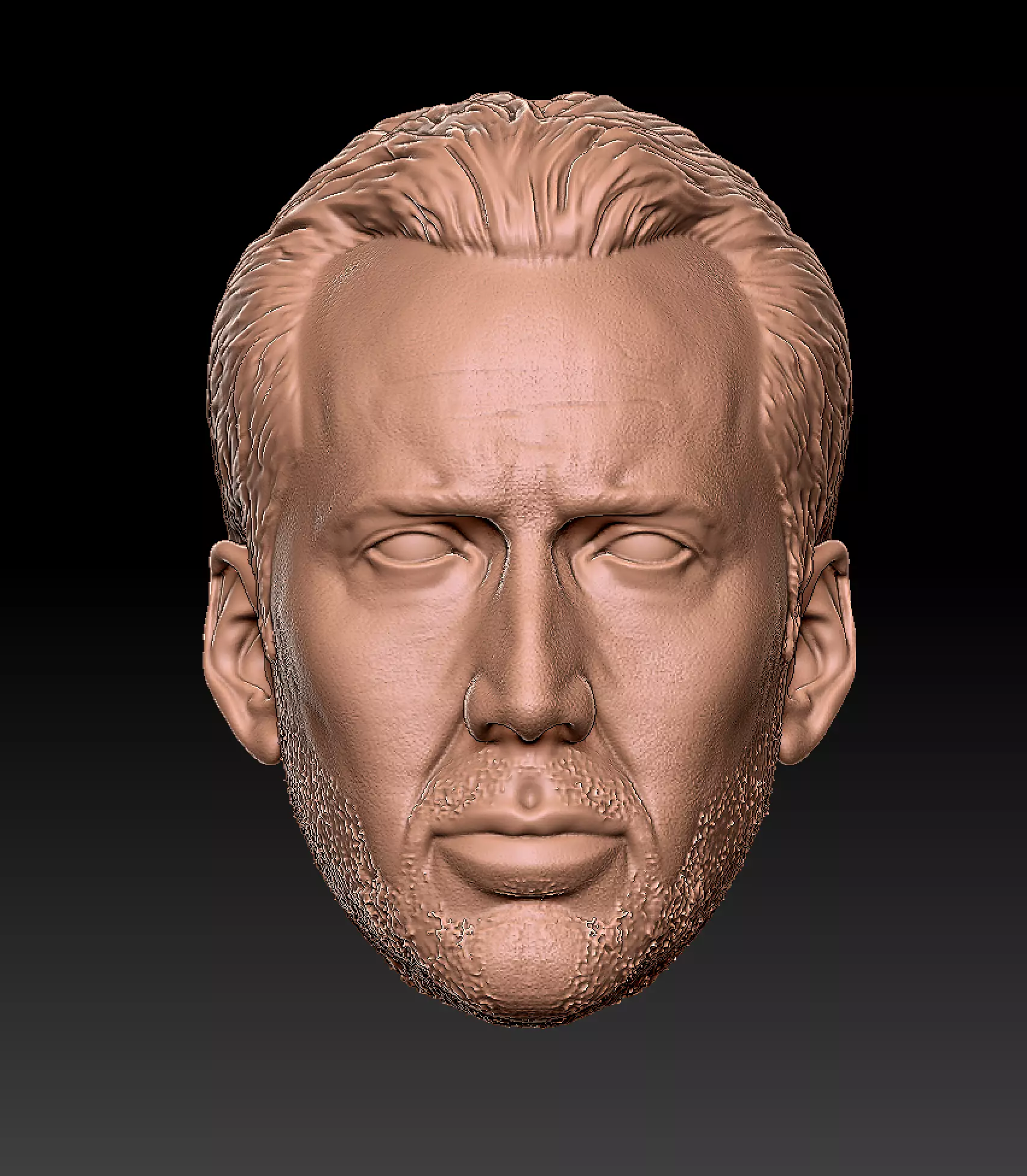 Nick Cage 3D print model