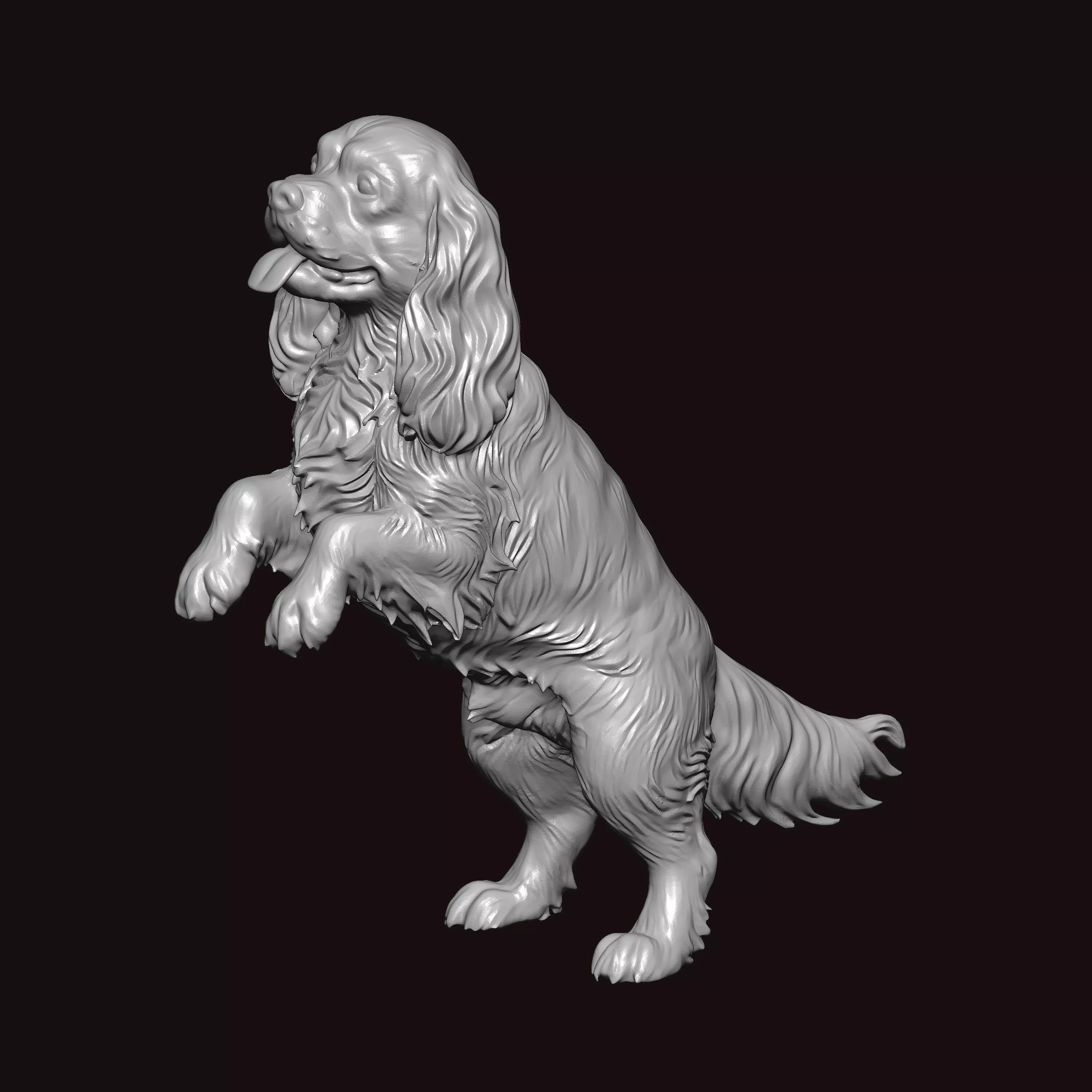 Cavalier King Dog Begging 3D print model