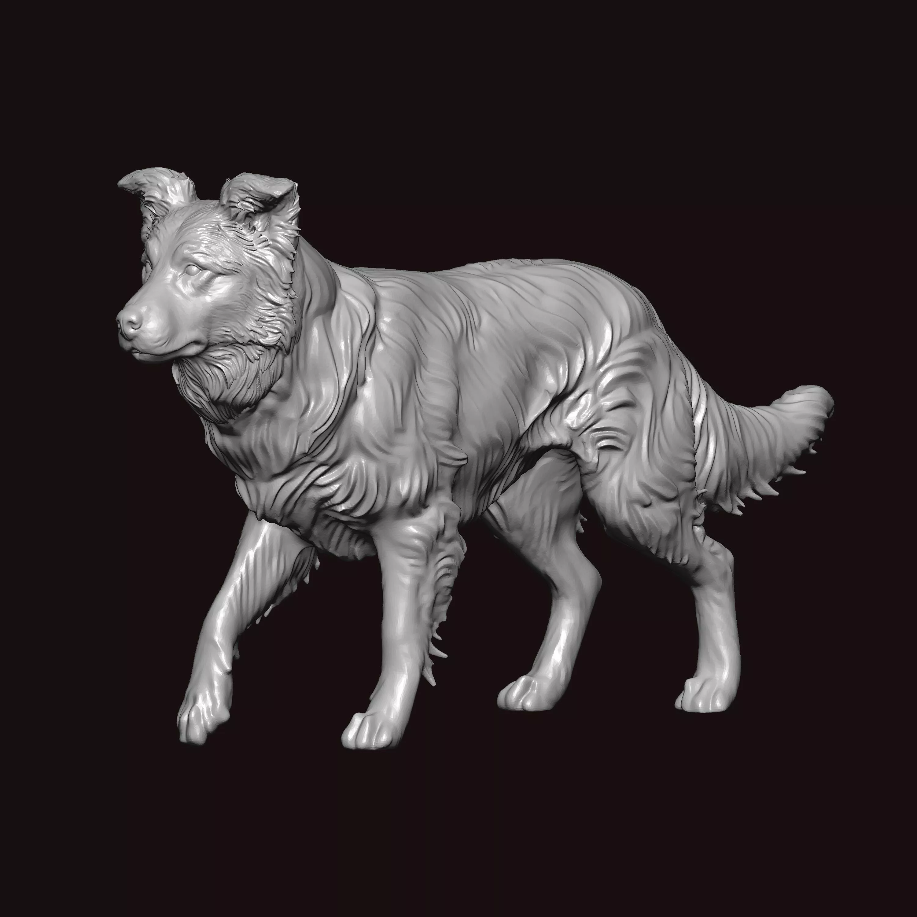 Border Collie Walking Pose 3D print model