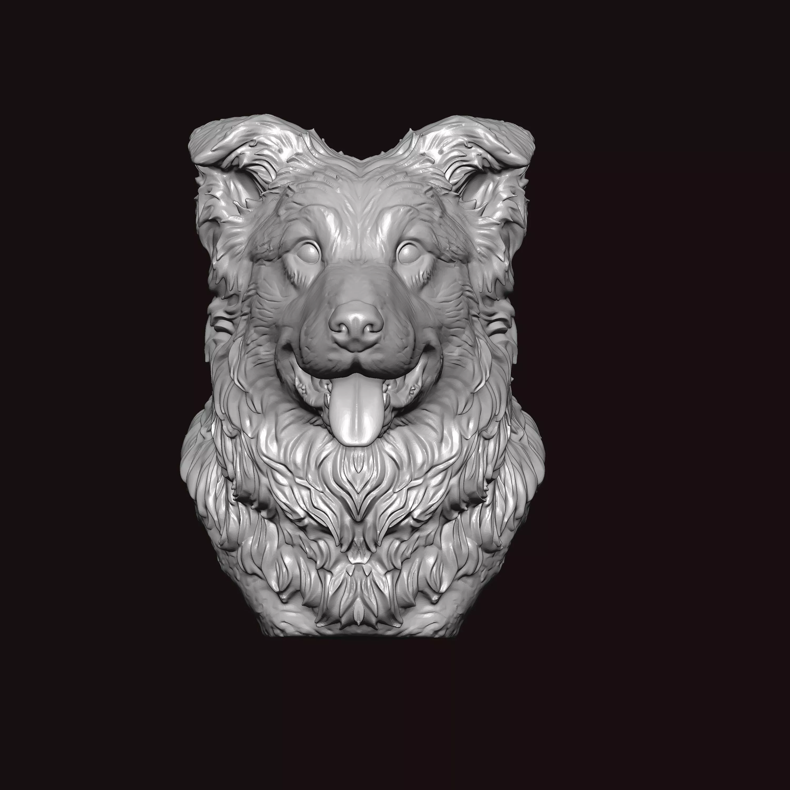 Border Collie Dog Face Bust 3D print model