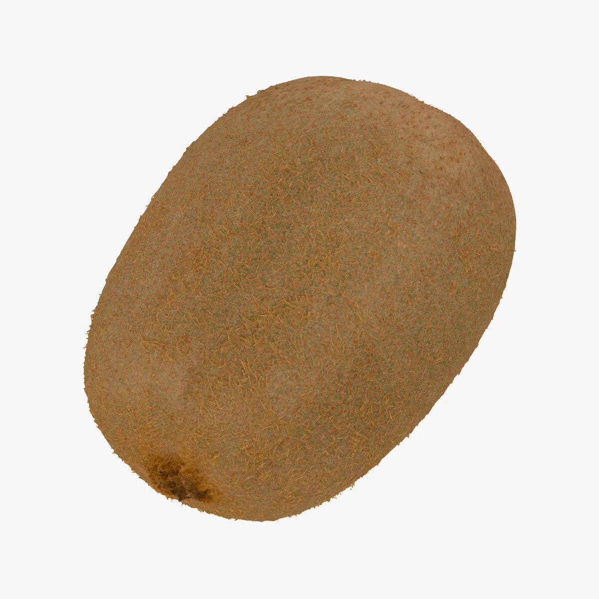 Kiwi 03 RAW SCAN 3D model