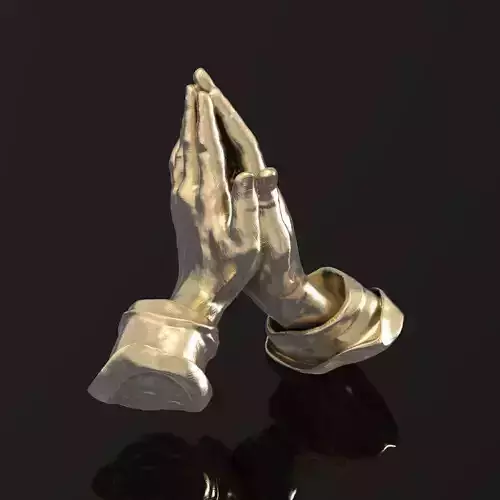 Praying hands 012