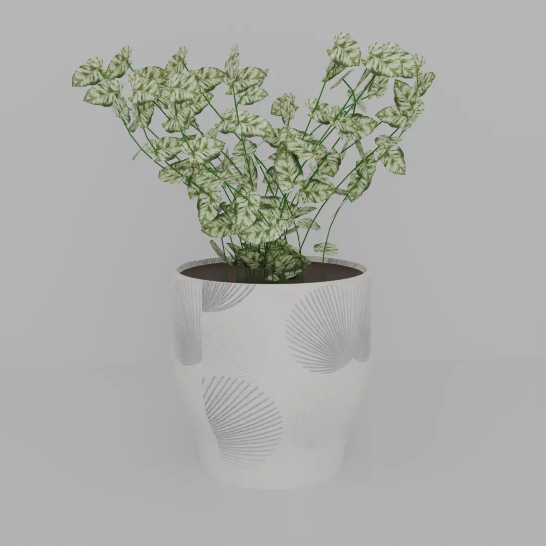 Potted Caladium Plant Free low-poly 3D model