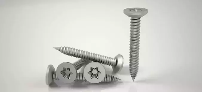 3D Screw Model  Buldeks Vida Clear Model 3D print model