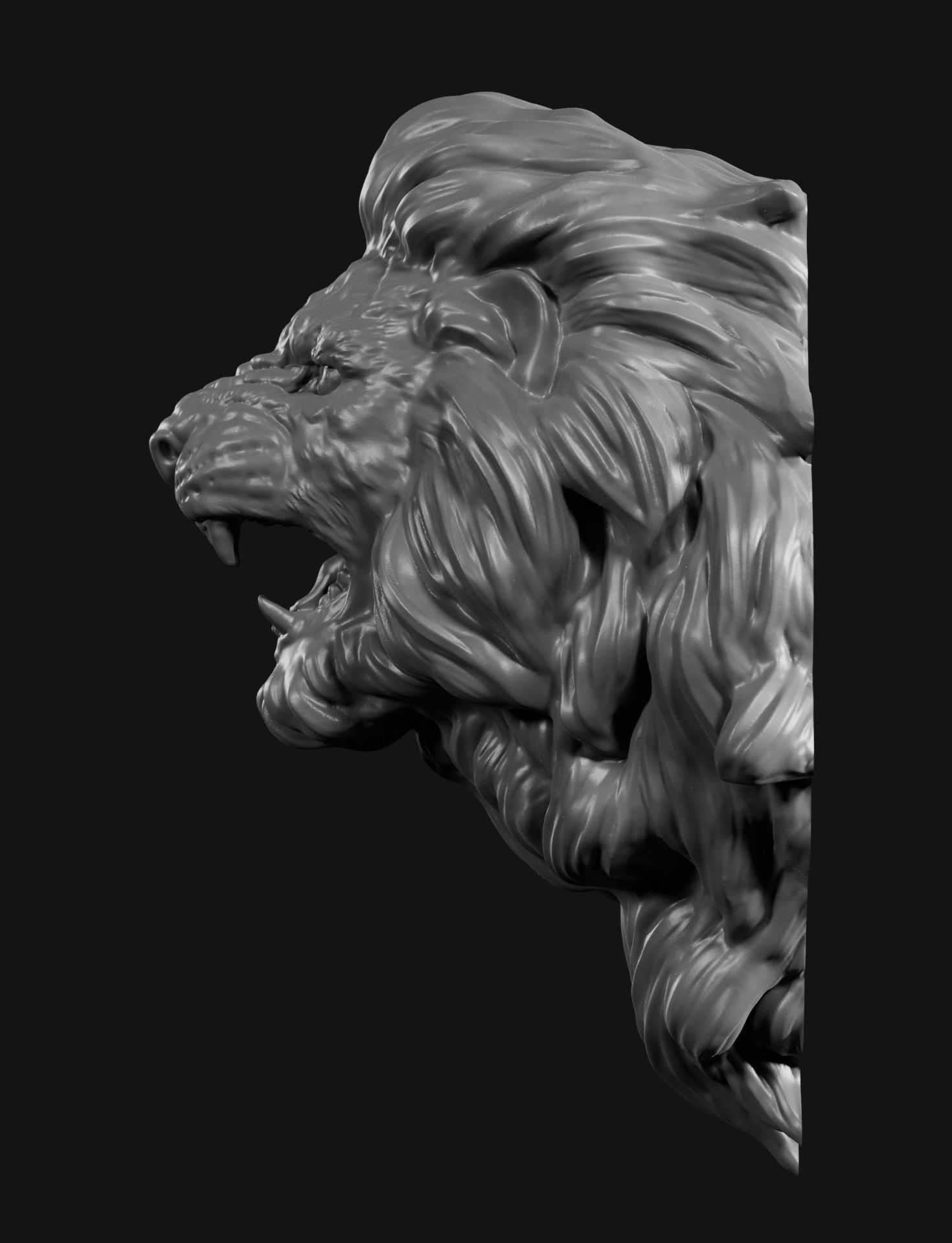 Lion head face 2 3D print model_6