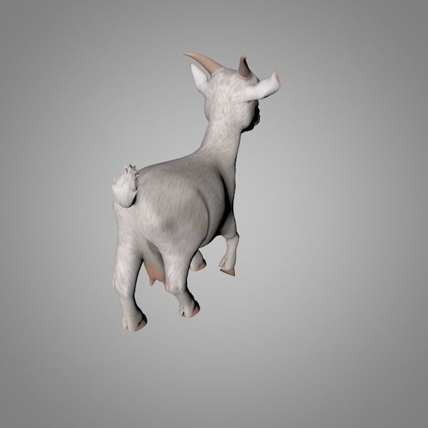 Goat or Goatling Low-poly 3D model_3