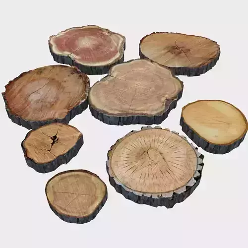 Wood Log Slices 3D model