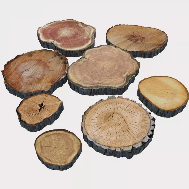 Wood Log Slices 3D model_0