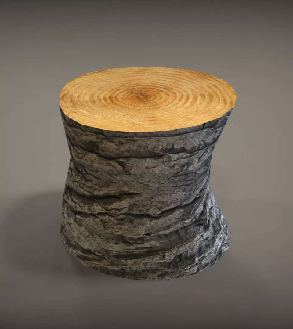 Tree Trunk Low-poly 3D model_0