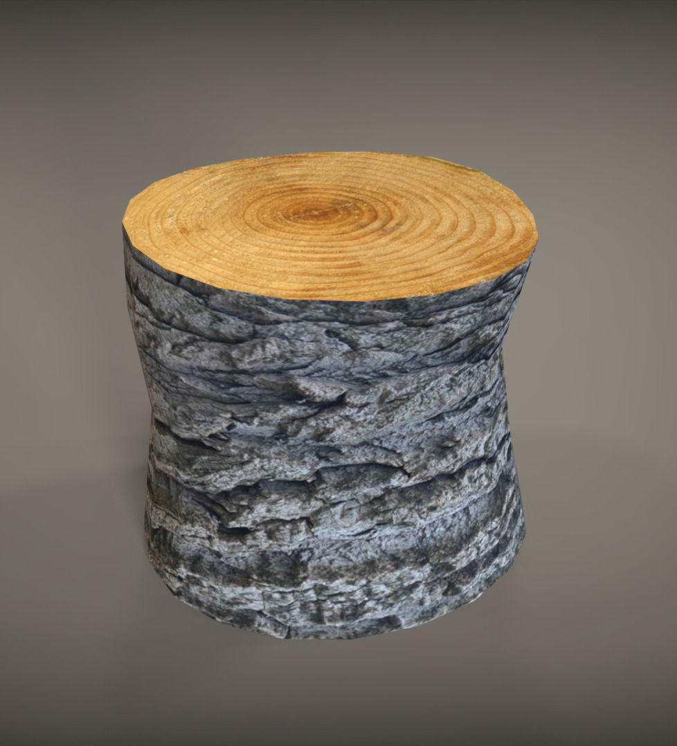 Tree Trunk Low-poly 3D model_2
