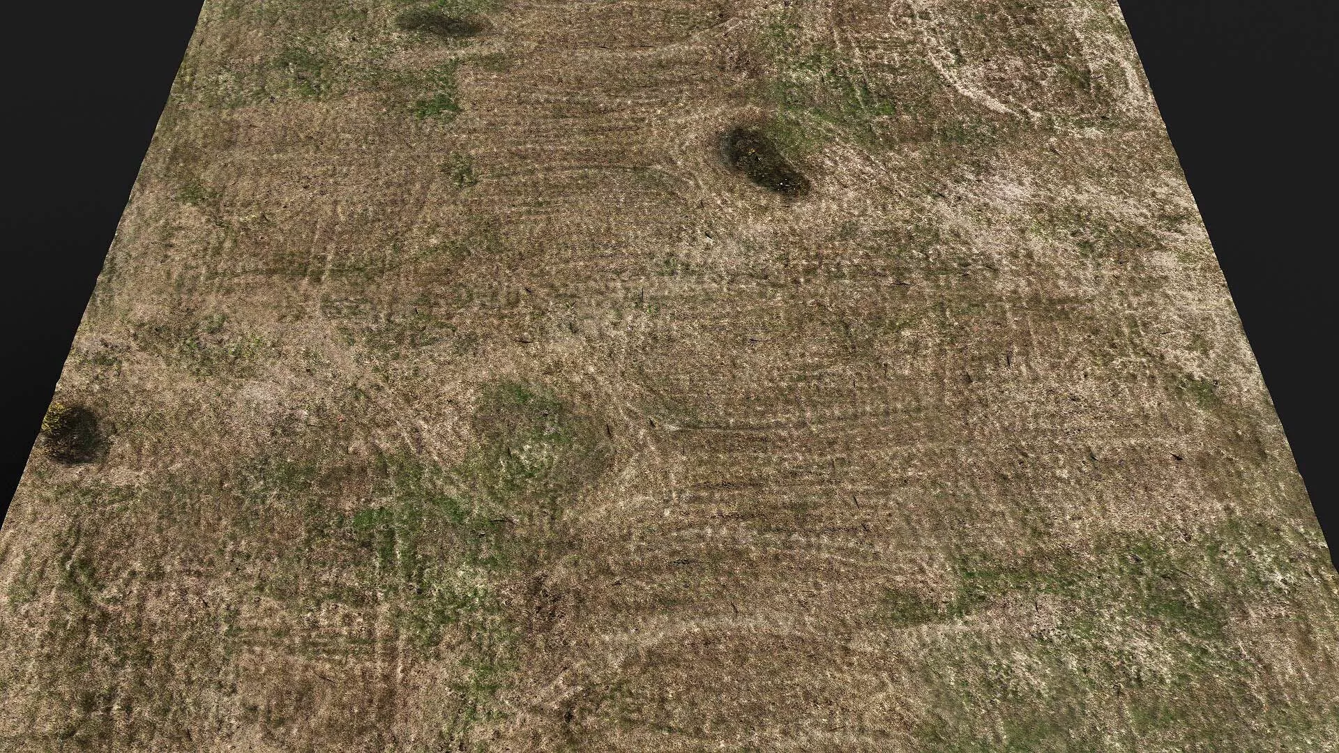 terrain ground grass bushes patch pt12 PBR photogrammetry Low-poly 3D model