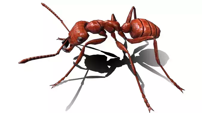 Ant Fire  Low-poly 3D model