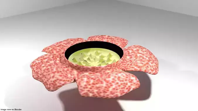 Flower - Rafflesia