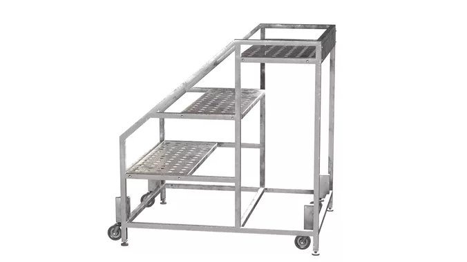 Ladder Wheeled