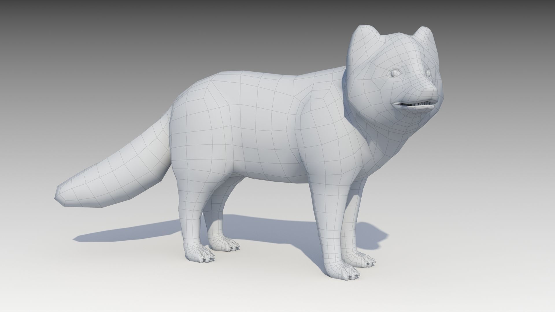 Artic Fox Low-poly 3D model_9