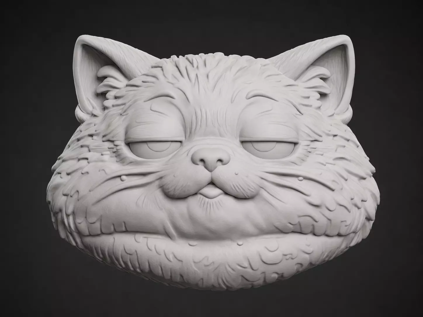 Grumpy Cat Face Relief 3D print model