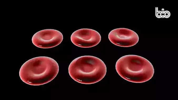 3D red blood cell