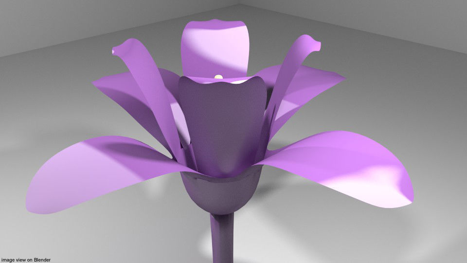 Flower - Orchid 3D model