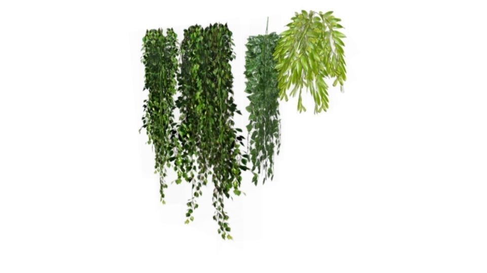 Lowpoly hanging plants and ivy Low-poly 3D model_2