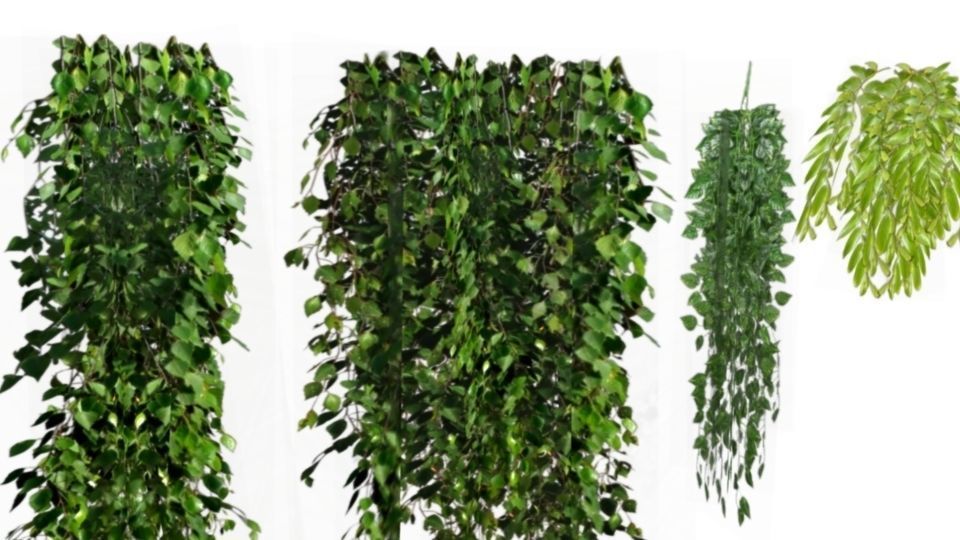 Lowpoly hanging plants and ivy Low-poly 3D model_1