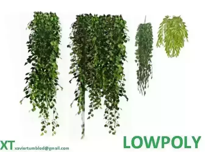 Lowpoly hanging plants and ivy Low-poly 3D model