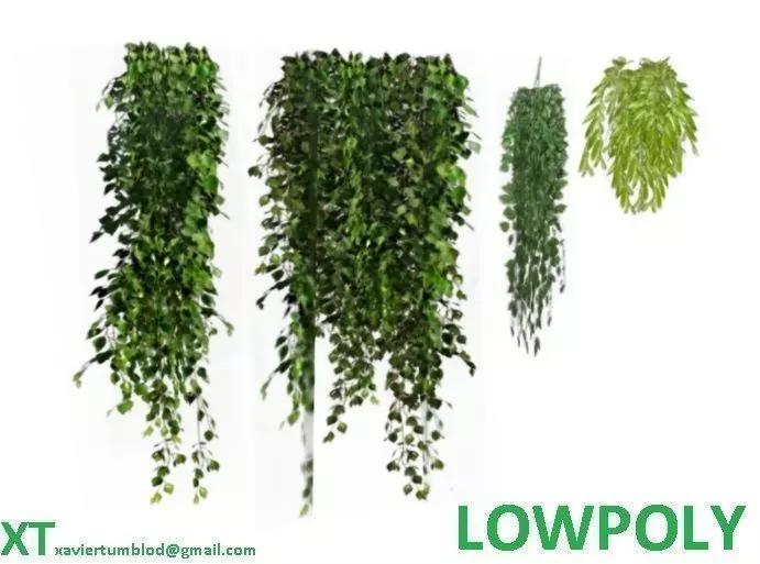 Lowpoly hanging plants and ivy Low-poly 3D model_0