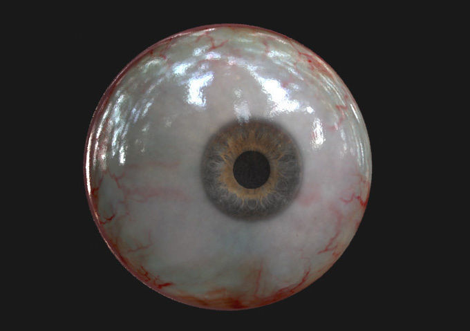 Eye model human 3D model_1