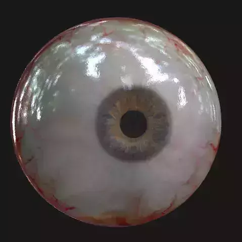 Eye model human