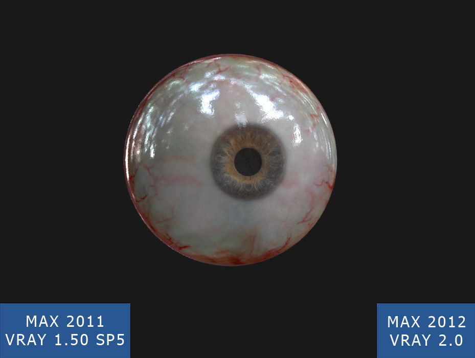 Eye model human 3D model_3