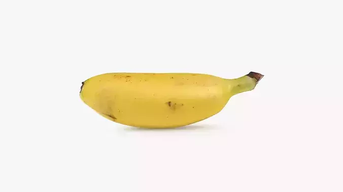 Baby Banana 04