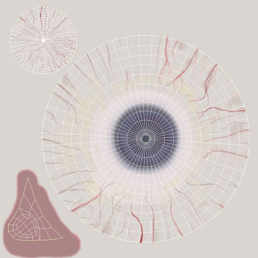 Penelope Young Female 3D model_38