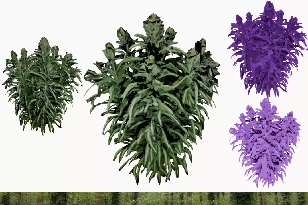 WDL Plant 11 3D model