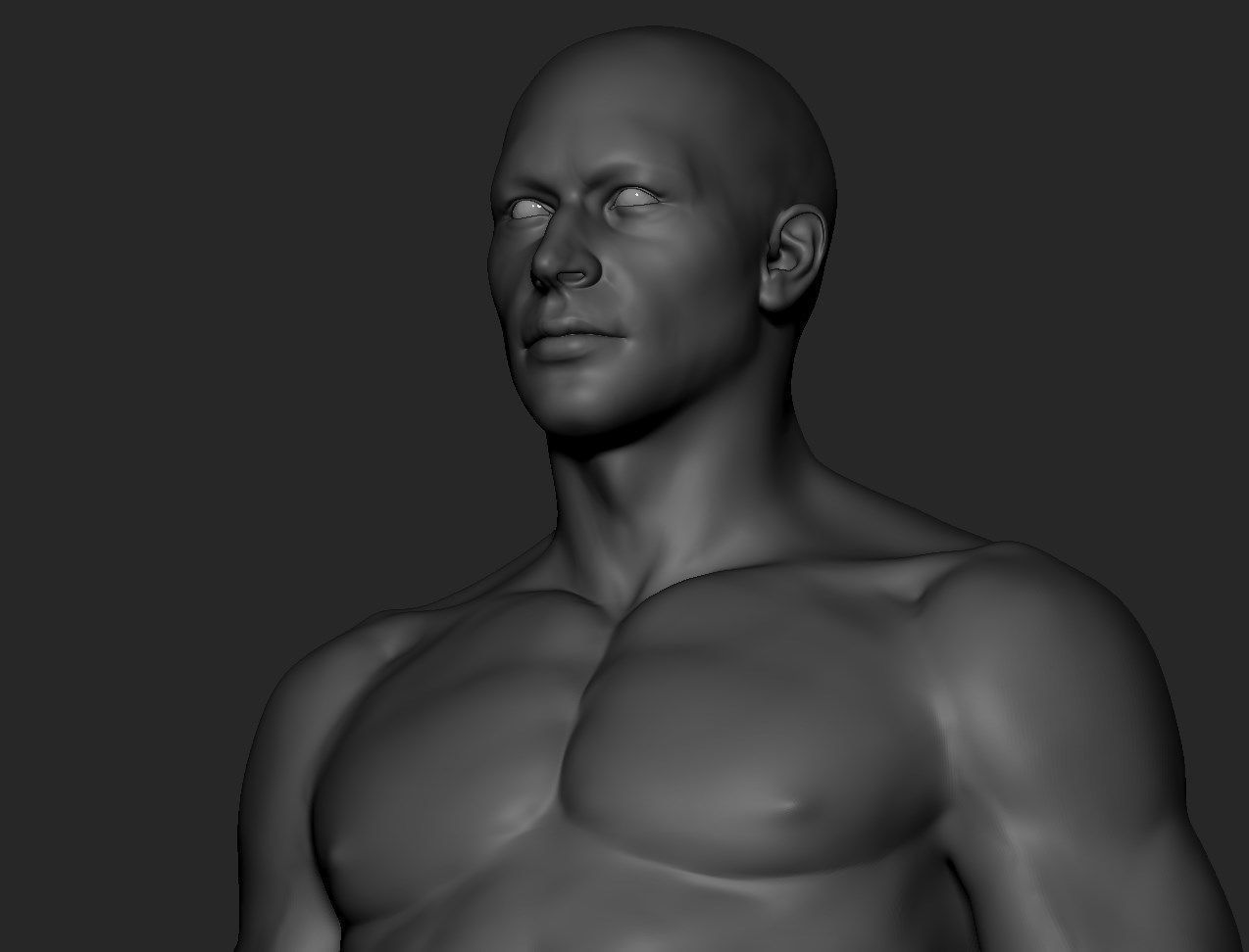 Body Zbrush 3D model_10