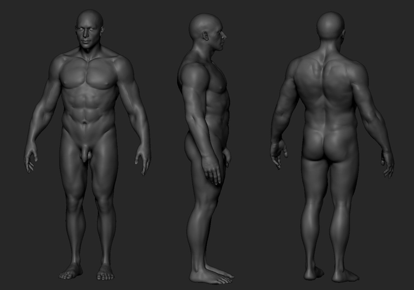 Body Zbrush 3D model_2