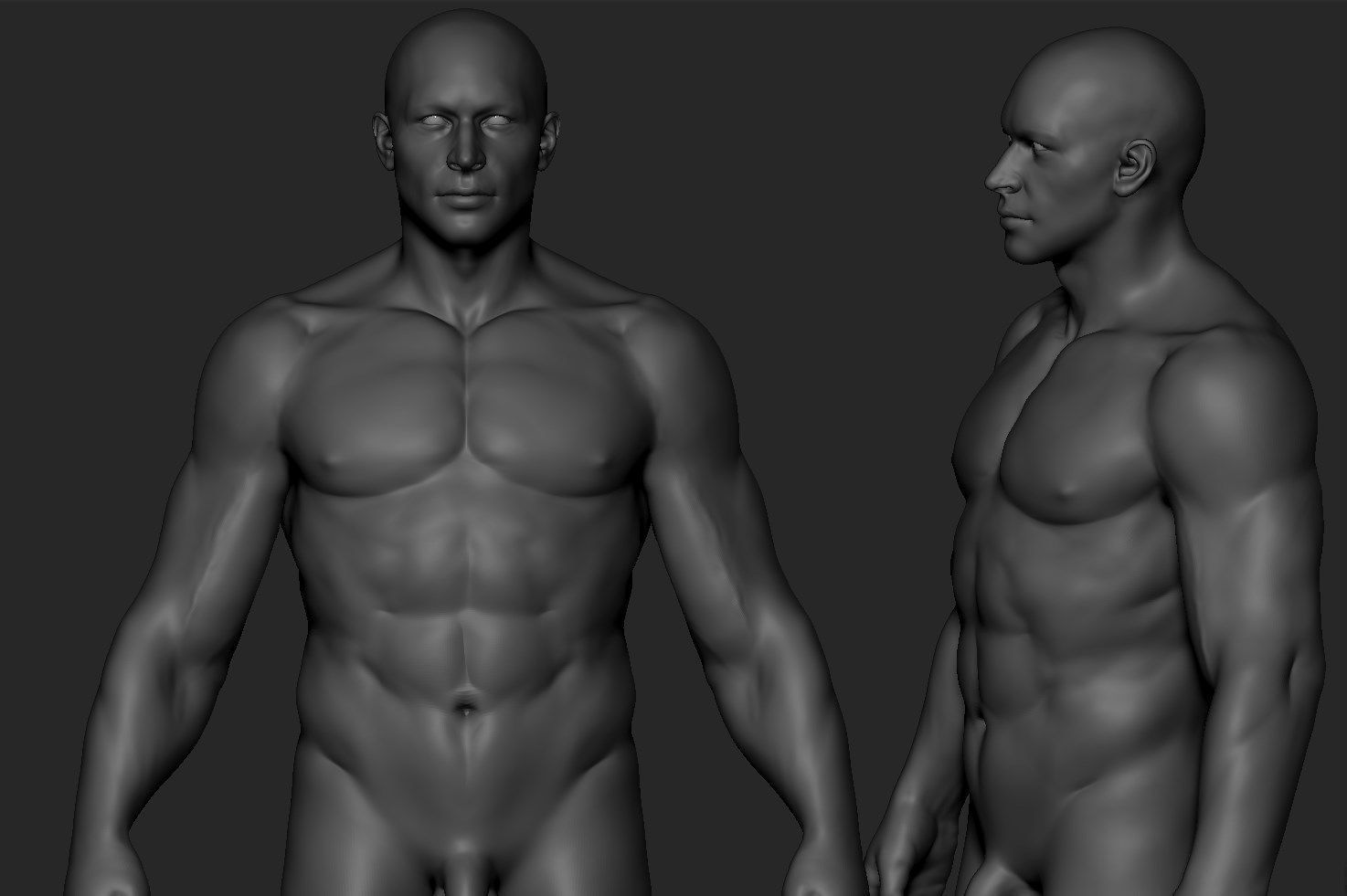Body Zbrush 3D model_3