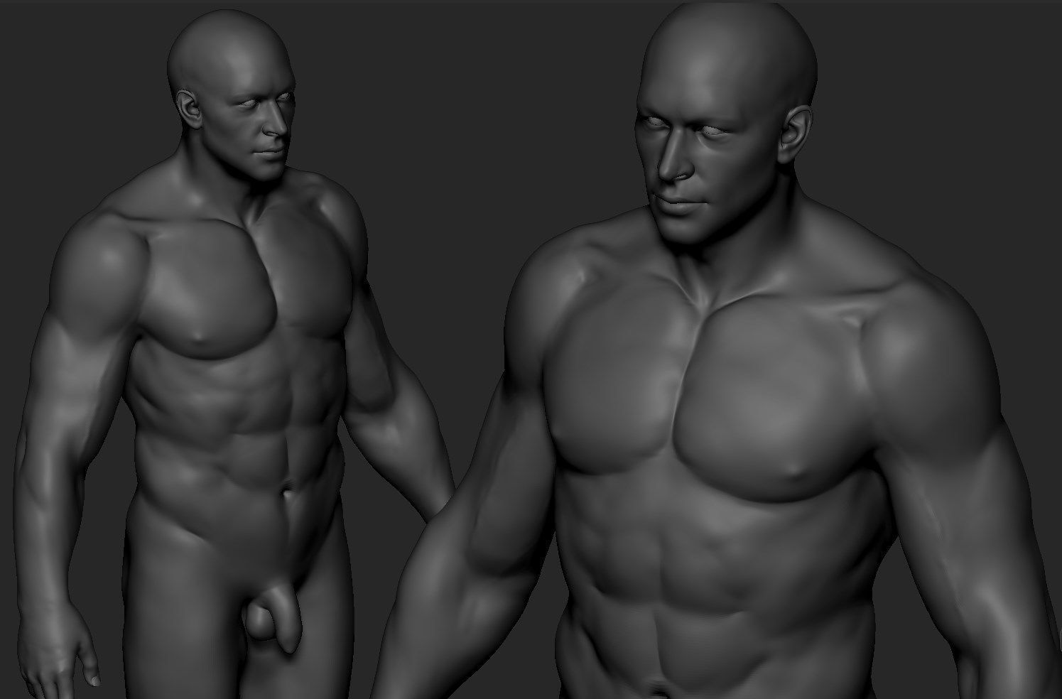 Body Zbrush 3D model_5
